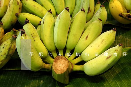 不配合法院执行法律责任