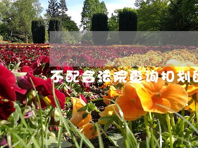 不配合法院查询扣划的处罚 不配合法院查询扣划的处罚
