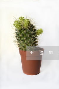 不错的法律咨询服务 不错的法律咨询服务