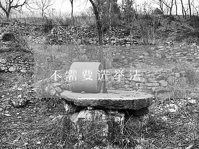 不需要选举法 不需要选举法