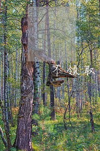 不领取信用卡逾期会坐牢吗