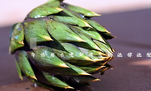 与信用卡逾期有关的法律法规 与信用卡逾期有关的法律法规