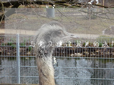 与党风建设相关的法律条文 与党风建设相关的法律条文
