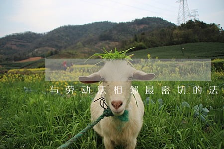 与劳动法相邻最密切的法律是 与劳动法相邻最密切的法律是