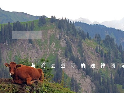 与商会签订的法律顾问的格式