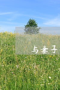 与妻子离婚开铲车找父母 与妻子离婚开铲车找父母