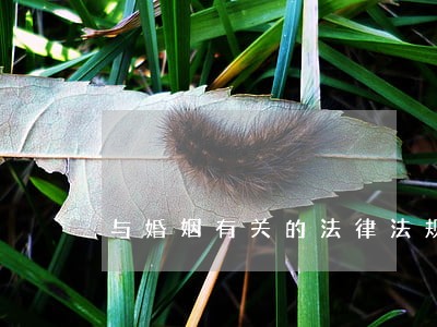 与婚姻有关的法律法规