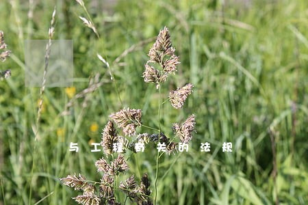 与工程有关的法规 与工程有关的法规