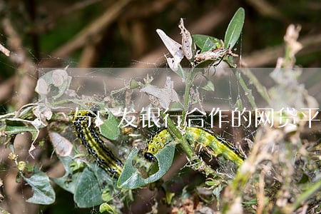 与广发银行合作的网贷平逾期 与广发银行合作的网贷平逾期