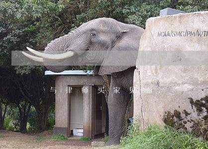 与律师买家见面 与律师买家见面