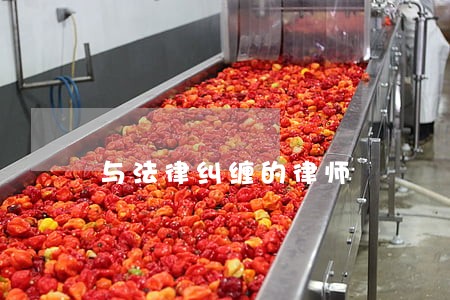 与法律纠缠的律师