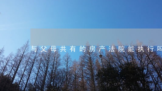 与父母共有的房产法院能执行吗
