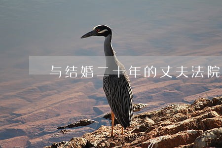 与结婚二十年的丈夫法院闹离婚 与结婚二十年的丈夫法院闹离婚