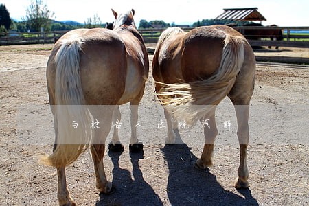与被告人法院调解 与被告人法院调解