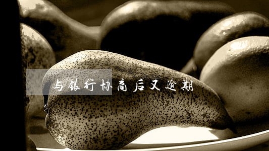 与银行协商后又逾期 与银行协商后又逾期