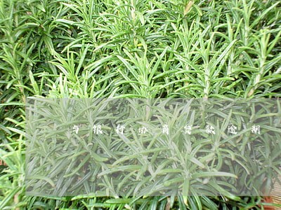 与银行协商贷款逾期