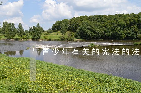 与青少年有关的宪法的法律条文 与青少年有关的宪法的法律条文