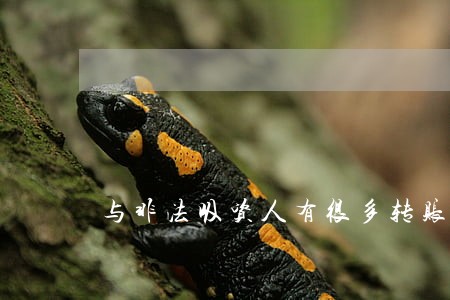 与非法吸资人有很多转账记录违法吗 与非法吸资人有很多转账记录违法吗