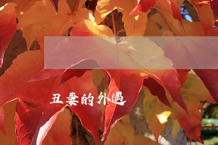 丑妻的外遇