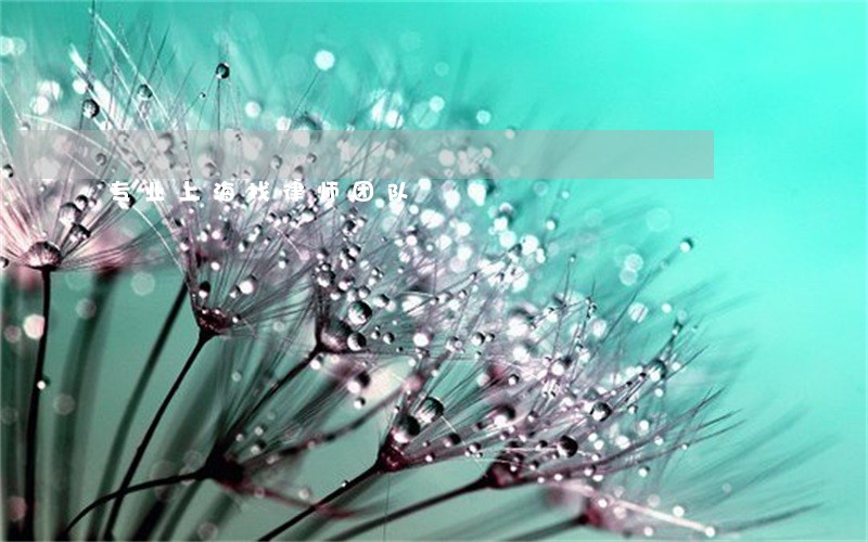 专业上海找律师团队 专业上海找律师团队