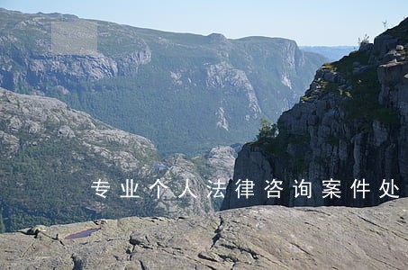专业个人法律咨询案件处理案件 专业个人法律咨询案件处理案件