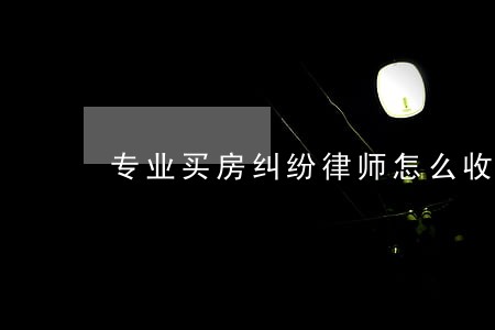 专业买房纠纷律师怎么收费 专业买房纠纷律师怎么收费