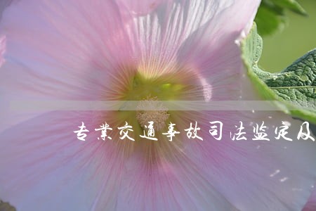 专业交通事故司法监定及理赔 专业交通事故司法监定及理赔