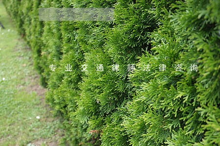 专业交通律师法律咨询 专业交通律师法律咨询