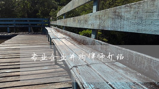 专业企业并购律师介绍 专业企业并购律师介绍