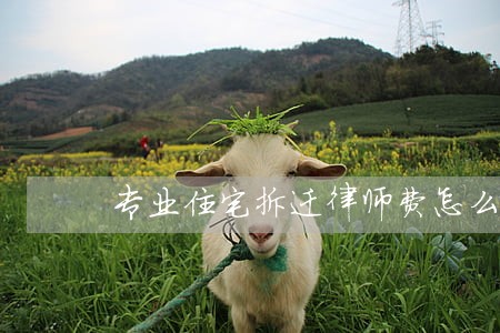 专业住宅拆迁律师费怎么算 专业住宅拆迁律师费怎么算