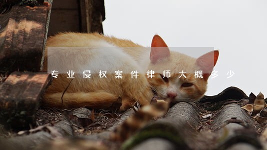 专业侵权案件律师大概多少