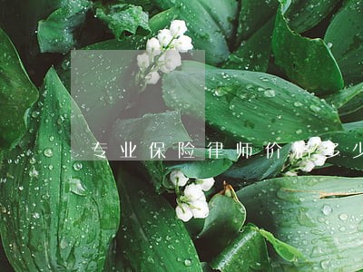 专业保险律师价格多少