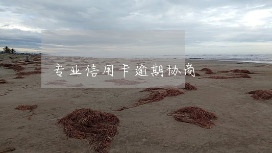专业信用卡逾期协商 专业信用卡逾期协商