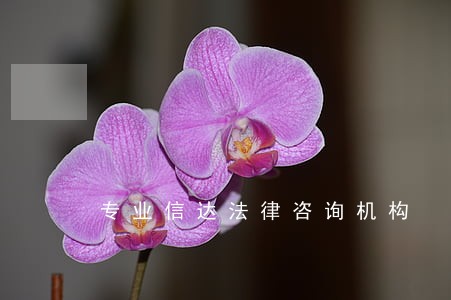 专业信达法律咨询机构 专业信达法律咨询机构