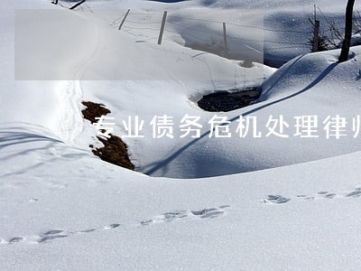 专业债务危机处理律师 专业债务危机处理律师