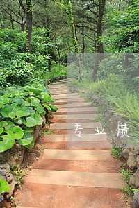 专业债务律师免费咨询 专业债务律师免费咨询