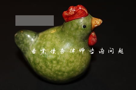 专业债务律师咨询问题 专业债务律师咨询问题