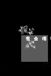 专业债务律师律师