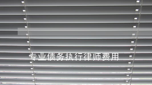 专业债务执行律师费用 专业债务执行律师费用