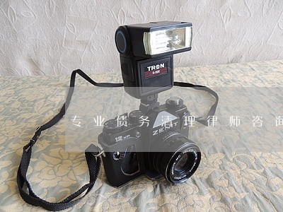 专业债务清理律师咨询 专业债务清理律师咨询