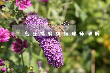 专业债务纠纷律师调解 专业债务纠纷律师调解