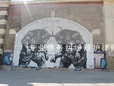 专业债务纠纷辩护律师哪个律师好 专业债务纠纷辩护律师哪个律师好