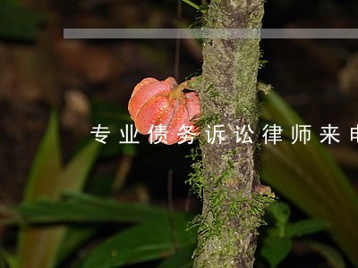 专业债务诉讼律师来电咨询 专业债务诉讼律师来电咨询