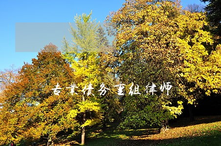 专业债务重组律师