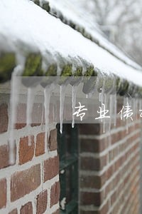 专业债权债务律师收费标准