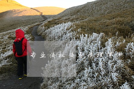专业债权债务清理律师 专业债权债务清理律师