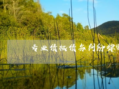 专业债权债务纠纷律师法律咨询