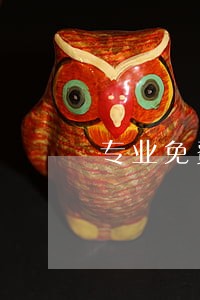 专业免费法律咨询 专业免费法律咨询