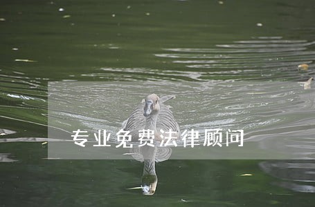 专业免费法律顾问