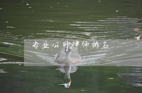 专业公司律师排名 专业公司律师排名